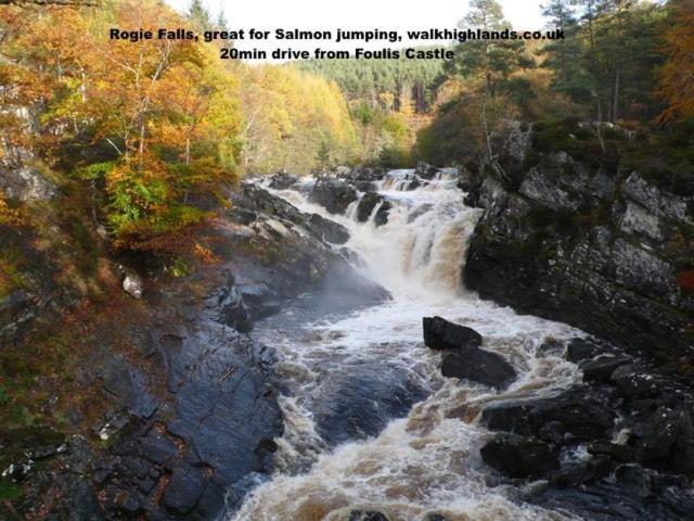 Foulis Castle Gate Lodge Evanton المظهر الخارجي الصورة